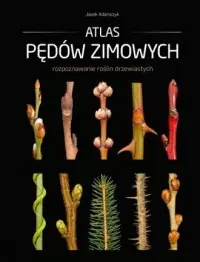 Najlepsza cena Atlas pędów zimowych