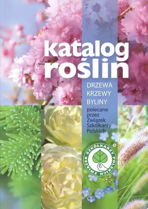 Katalog roślin Drzewa, krzewy, byliny polecane przez Związek Szkółkarzy Polskich Zamów dziś