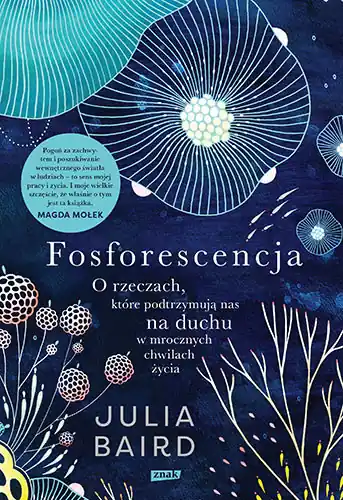 Cena promocyjna Fosforescencja. O rzeczach, które podtrzymują nas na duchu w mrocznych chwilach życia