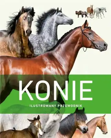 Konie. Ilustrowany przewodnik - praca zbiorowa Popularny